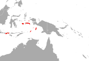 Black-bearded Flying Fox area.png