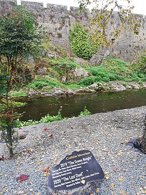 Cahir Castle films plaque