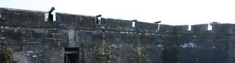 Castillo de San Marcos embrasures