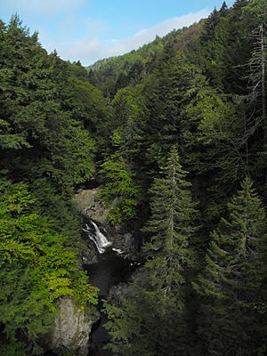 CobequidHills AcadiaMinesRiver