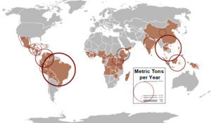 Countries by Coffee Export