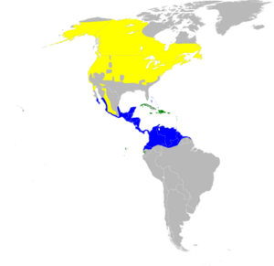 Dendroica petechia map.svg