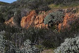 DuamondValleyLakeChaparral