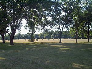 Evans County Agriculture