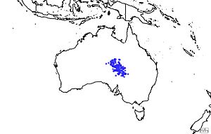 Eyrean grasswren distribution.jpg