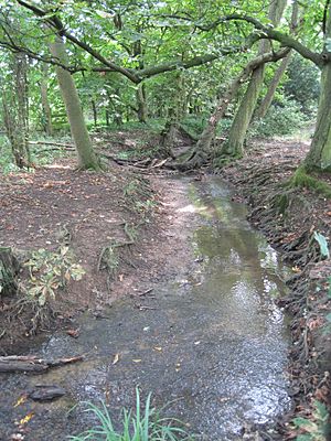 Folly Brook 3