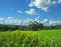 Harlem Valley view from Appalachian Trail, Pawling, NY