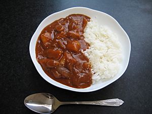 Hayashi rice