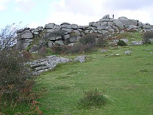 Helman Tor