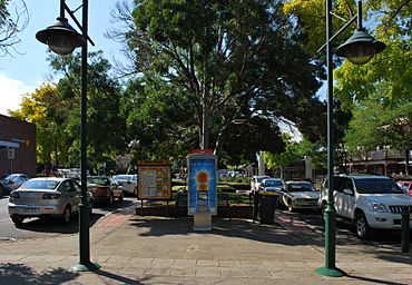 Highton Belle Vue Avenue.JPG