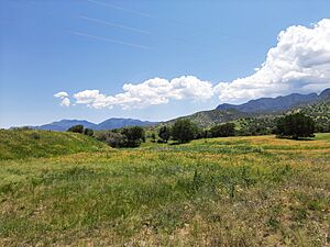 Huachuca Mountains after Monsoon