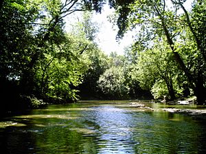 Indiana, Cedar Creek near the St. Joseph River