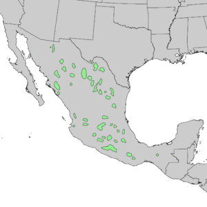 Juniperus flaccida range map 3.png