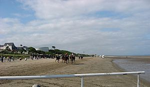 Laytown Races