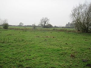 Lockington Marshes 4.jpg
