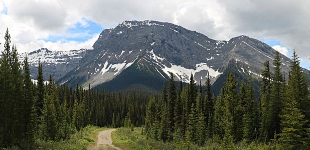 Mount Shark, Alberta