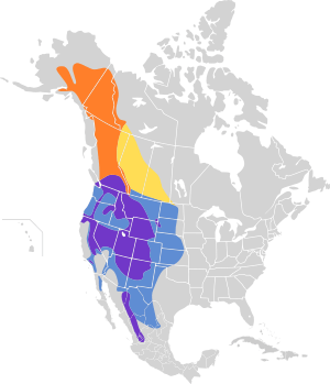 Myadestes townsendi map.svg