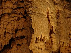 NaturalBridgeCaverns13