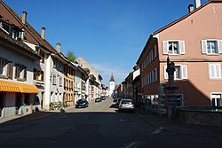 Neunkirch 267