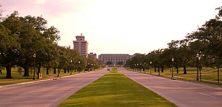 New Main Drive Texas A&M