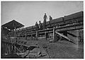 On the tipple at the Bessie Mine 1910