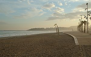 Platja la pineda