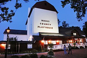 Playhouseatdusk