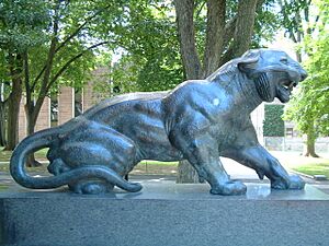 Princeton University Cleo tiger