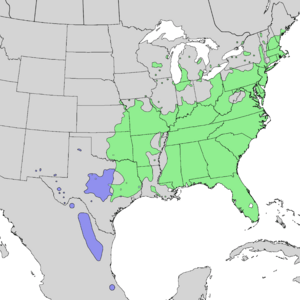 Rhus copallinum range map 3.png