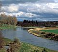 River Tweed from Mertoun House