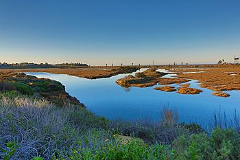 San Elijo Lagoon