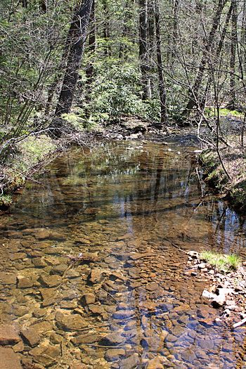 Sand Spring Run looking downstream.jpg