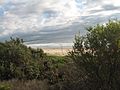 Scotts Head Beach