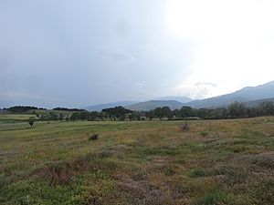 Serra de Portella, Llívia (juliol 2013) - panoramio