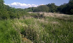 Stevenston Canal in Ardeer Park.jpg