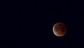 Super Blue Blood Moon (28224587179)