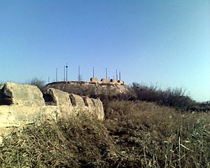 Taku Fort 2006.jpg