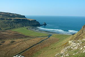 Talisker bay.jpg