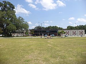 Tallahassee Automobile Museum.JPG