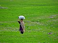 Tarbela Dam Area