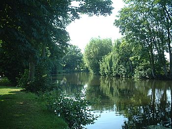 The Wensum under trees.JPG