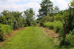 Turtle Creek Park path