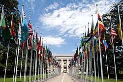 United Nations Flags - cropped