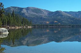 Warm Lake Idaho.jpg