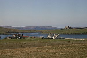 West Sandwick, Yell - geograph.org.uk - 1302800.jpg