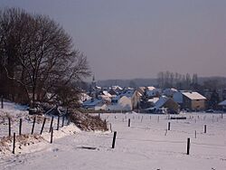 Winters zicht op Teralfene.jpg