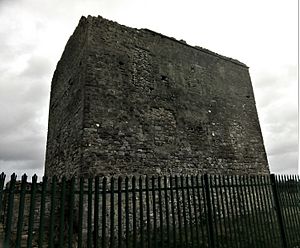 Woodstock Castle, Athy 2