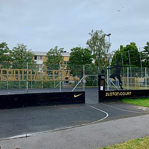 Zlatan Court (1. aug 2019)