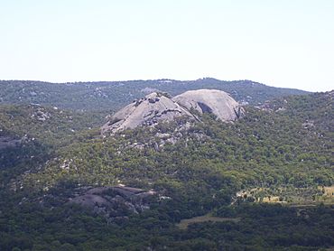 1 Girraween National Park 4.JPG