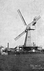 Aldington 1905.jpg